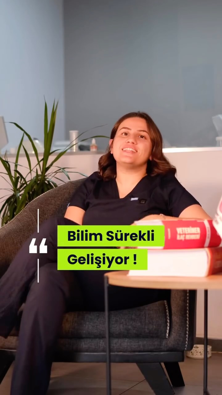 Dahiliye yaklaşımı