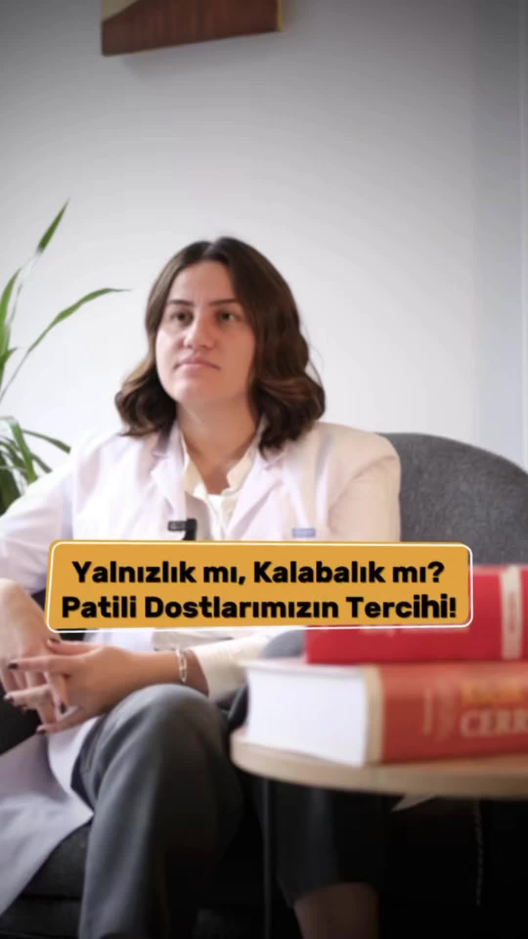 Kedi-köpek harmoni